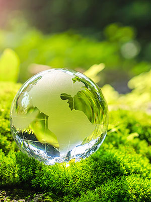 a tiny glass globe on green moss